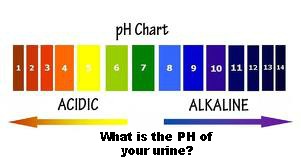 ph acid chart urine – Kangen Water Seattle